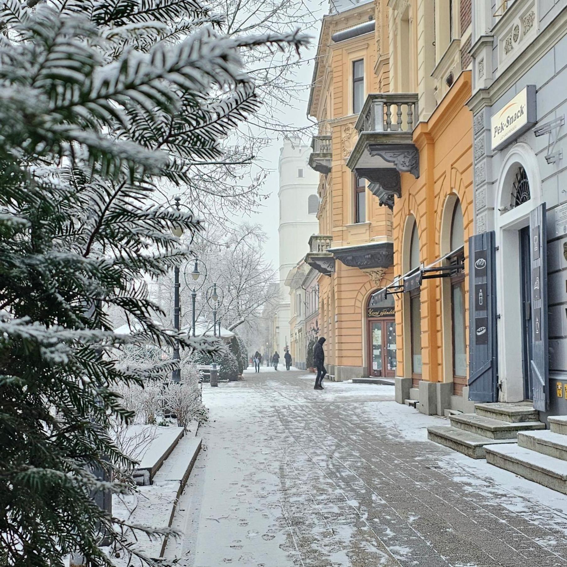Greatforestsportandspauniversityflat Debrecen