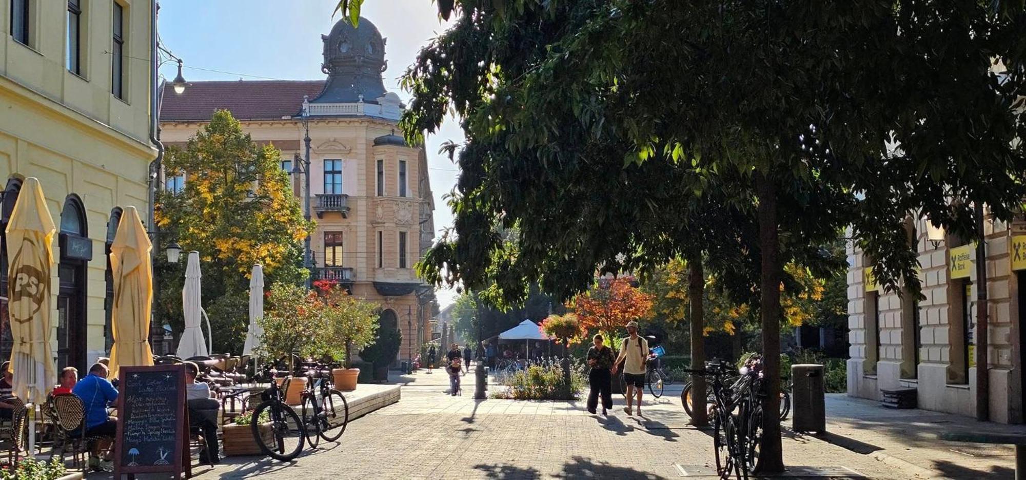 Greatforestsportandspauniversityflat